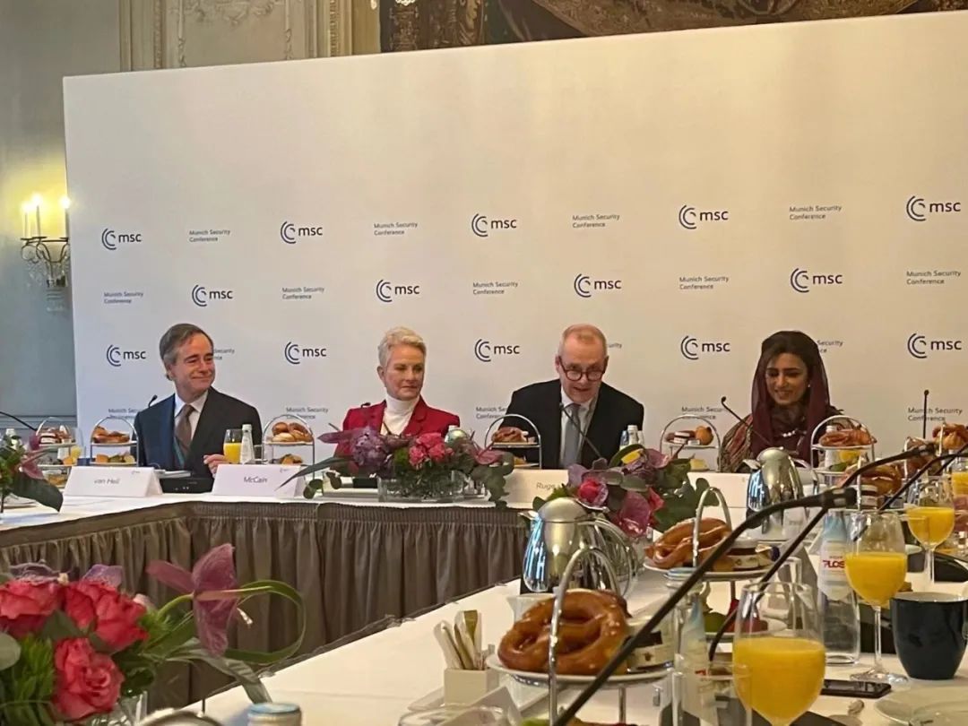 中国参加慕安会,慕安会美国演讲