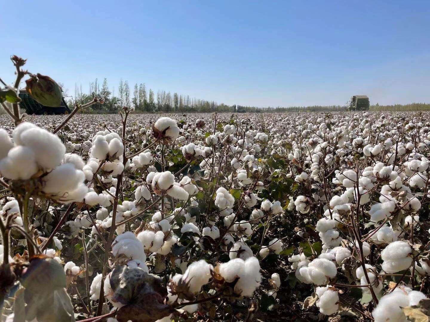 耐克最近大事件,耐克近期事件