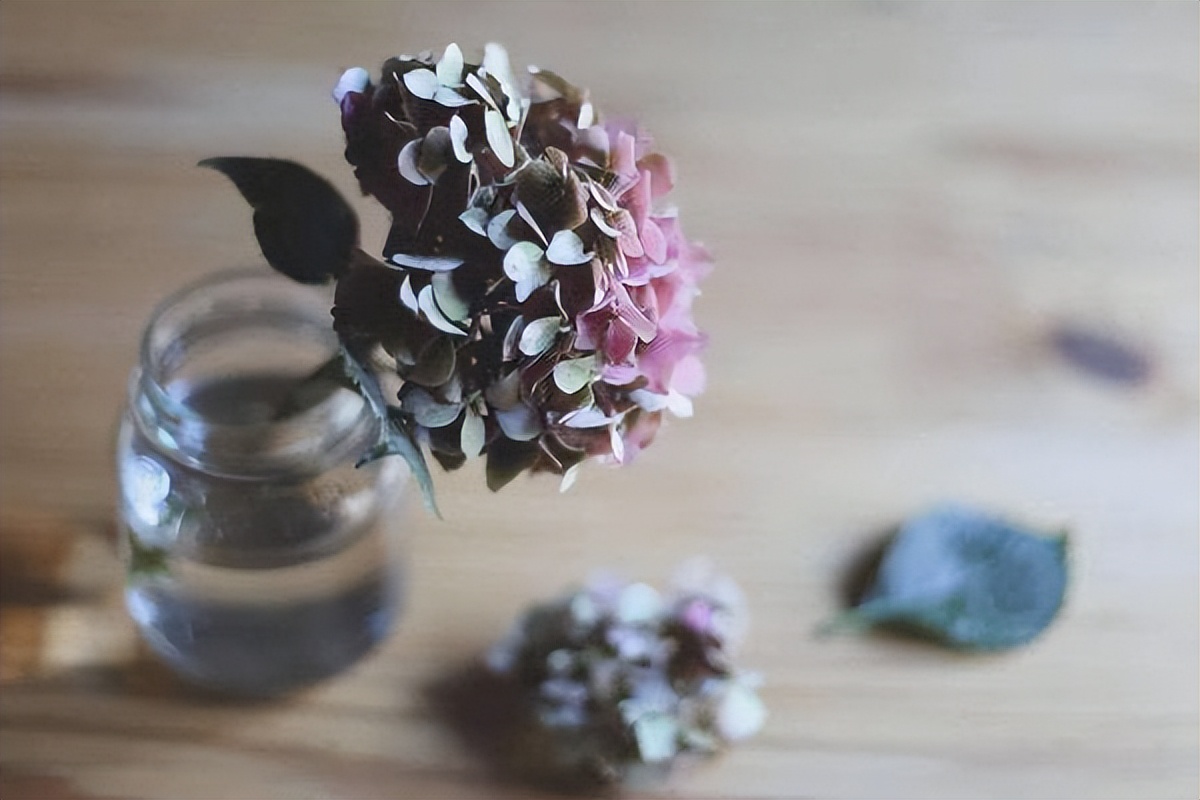 人一旦过了50岁你就会明白,人生最好的状态从五十岁开始