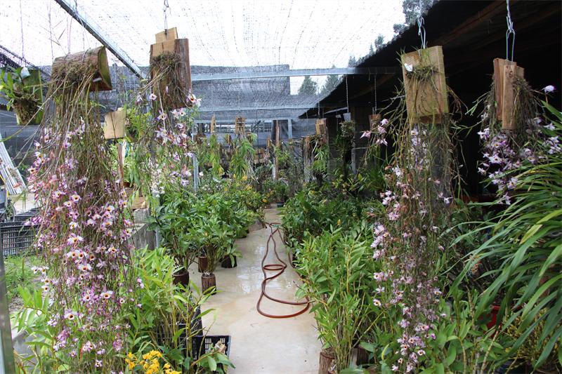 云南90后发家致富,云南90后回村网红