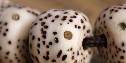 星月菩提子,星月菩提子怎么穿绳