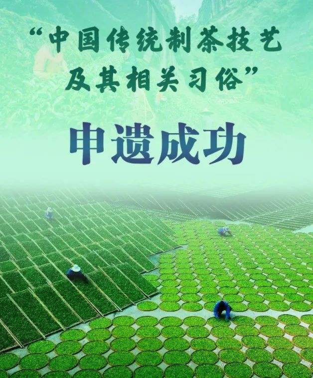 中国茶文化申遗成功韩国反应,中国茶被申遗
