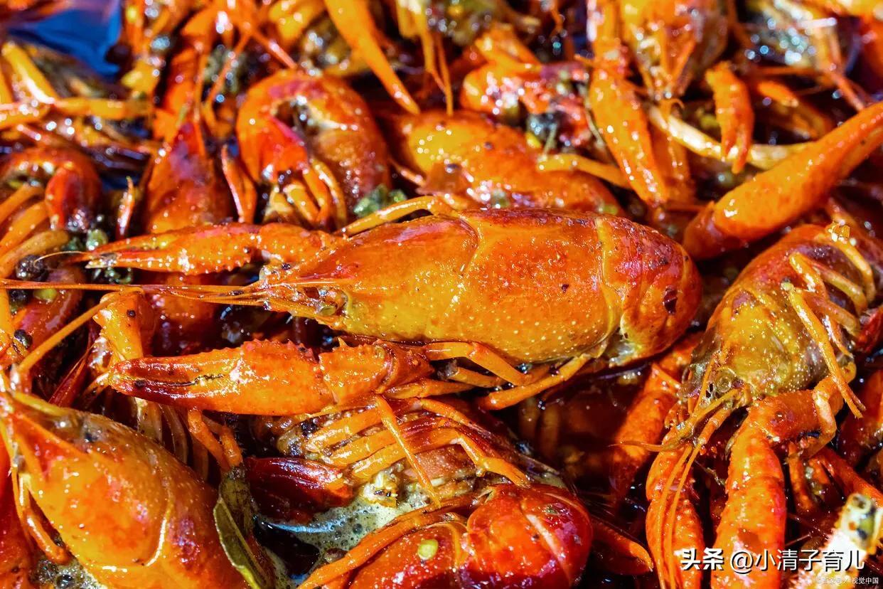 孕妇能吃小龙虾吗初期吃什么,这段时间的小龙虾孕妇可以吃吗