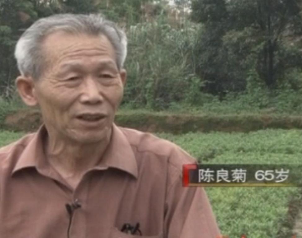 农村老汉把毒蛇养得像亲儿子一样,江西六旬老汉养毒蛇