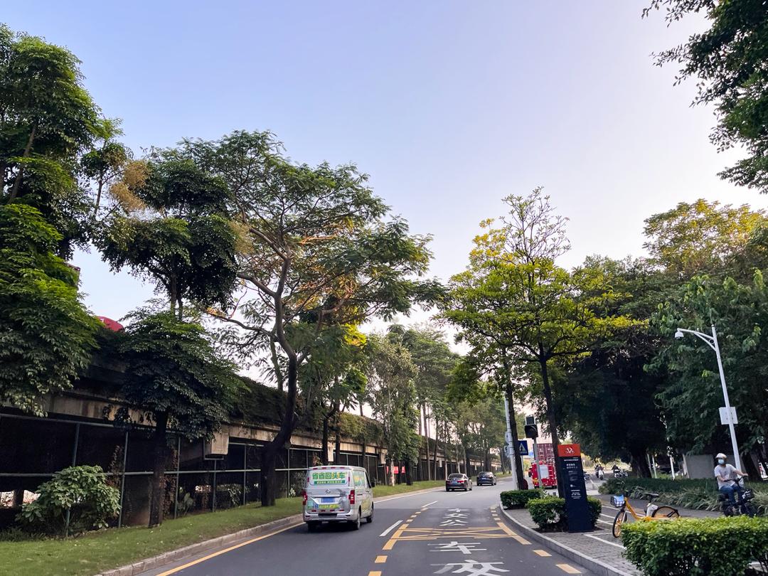 深莞交界处，一个城中村三代家庭的“人世间”