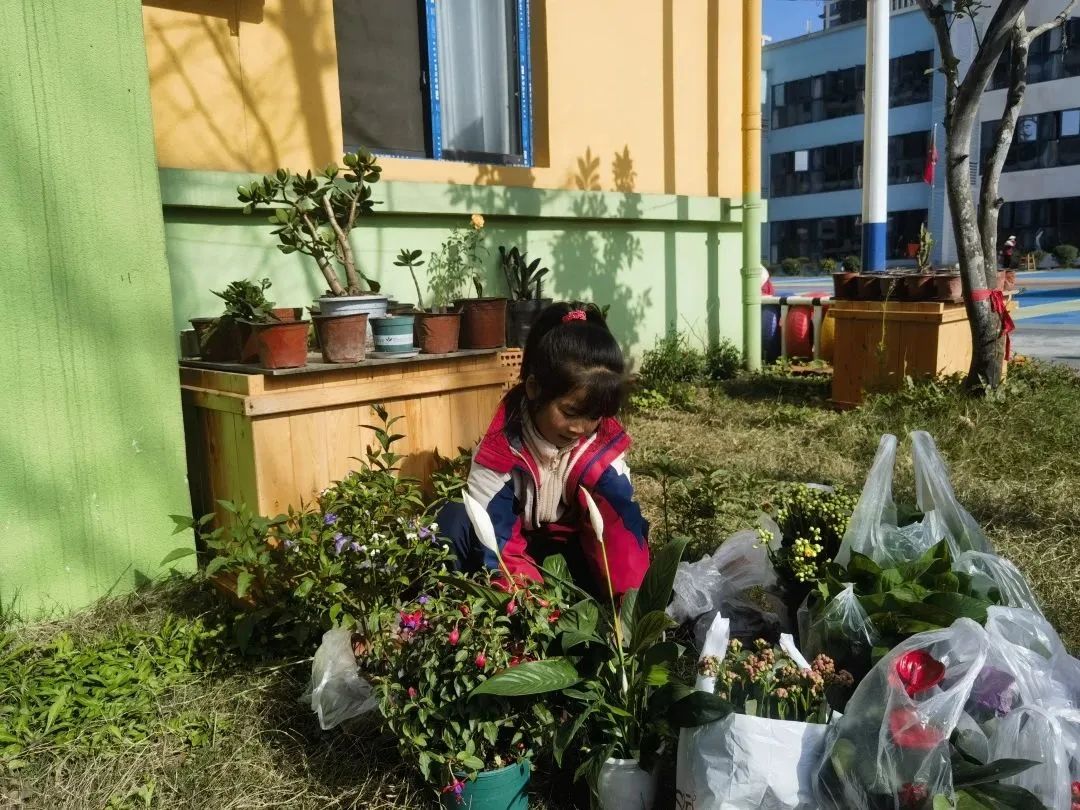 洪雅县第四幼儿园叫什么名字,洪雅第四幼儿园在哪里