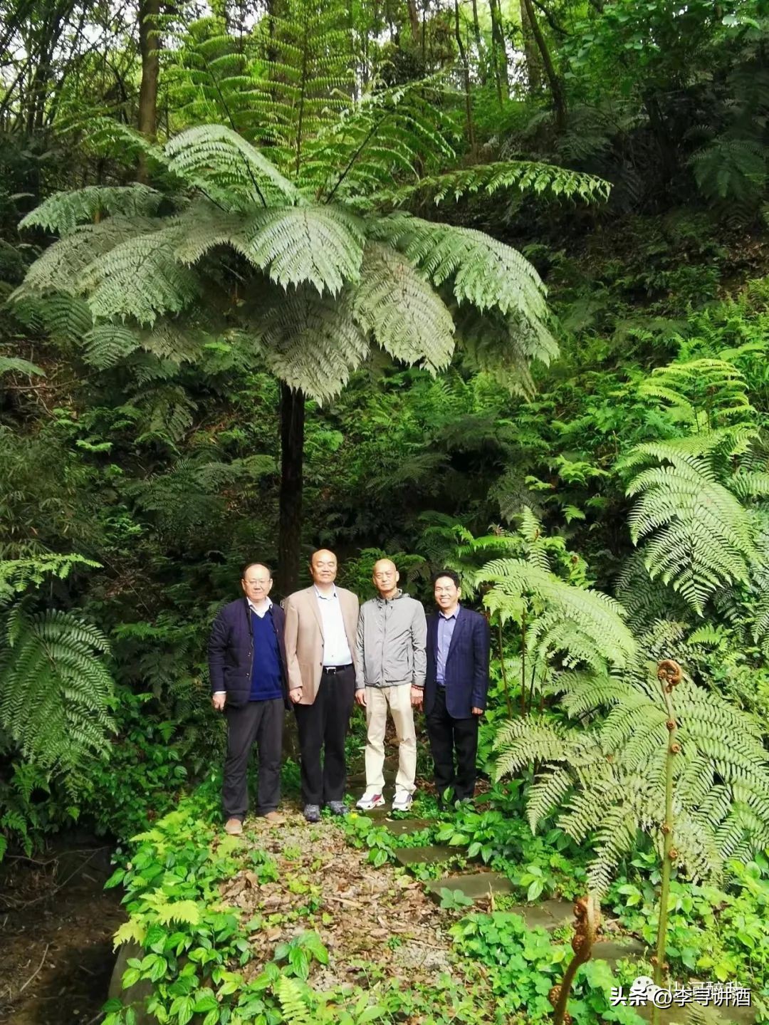 山河醉我||12个必须打卡的白酒胜地