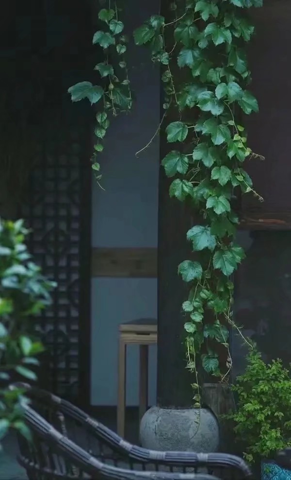 散文：繁花丛中坐，淡雅一闲人