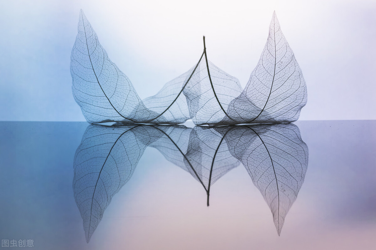 不会说话在社会上很吃亏吗,不会说话的人成不了大事