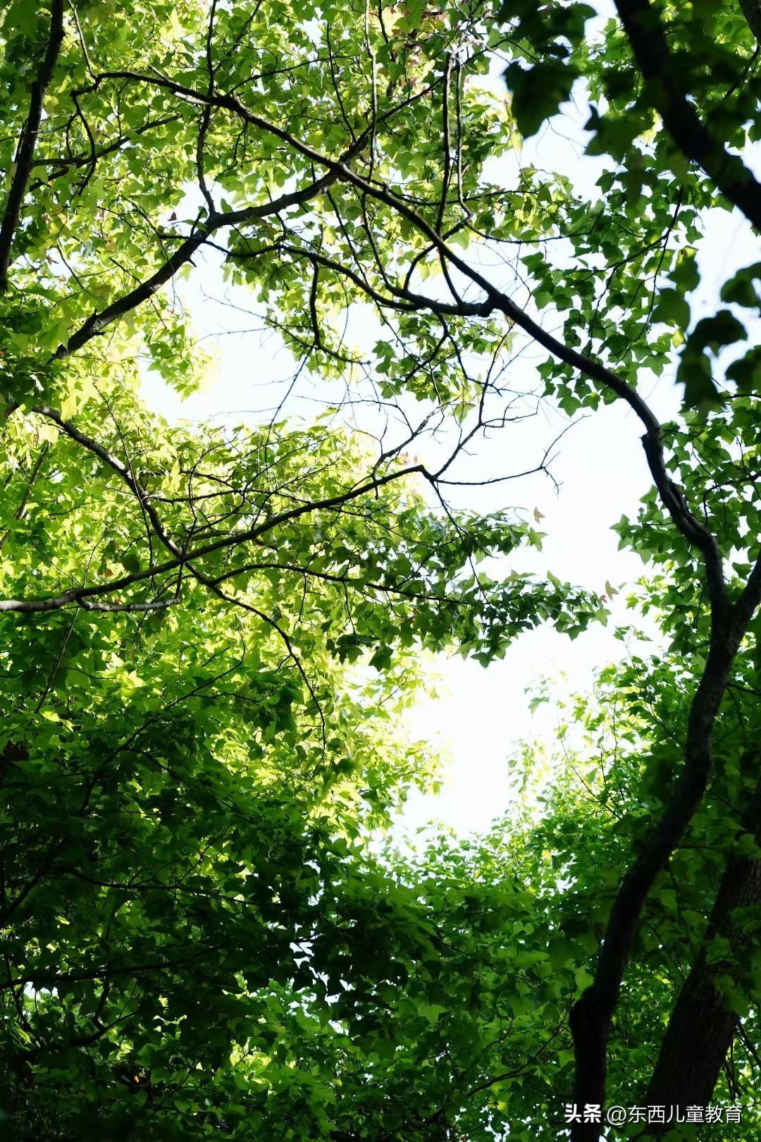 这个假期该给孩子看的电影,周末陪孩子看一场电影