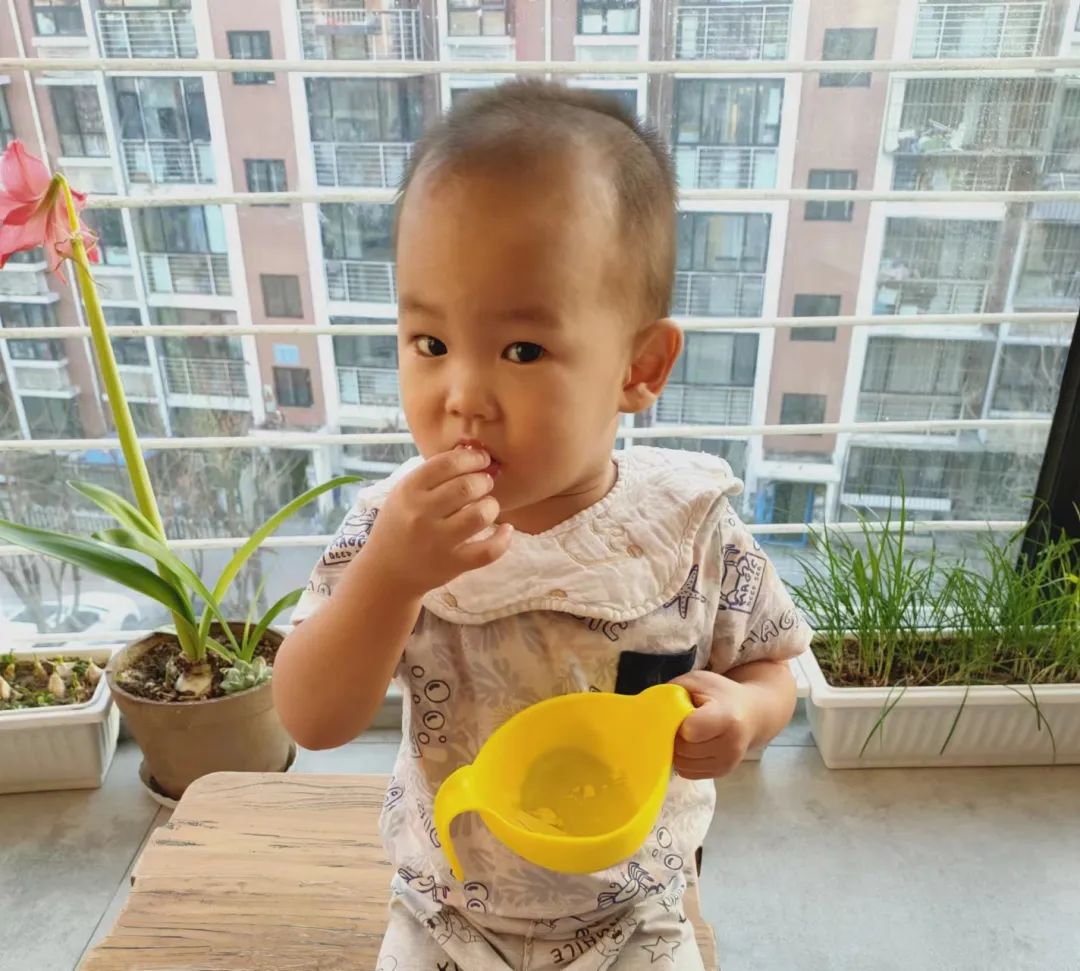 十大奶酪,全世界最顶尖10款奶酪