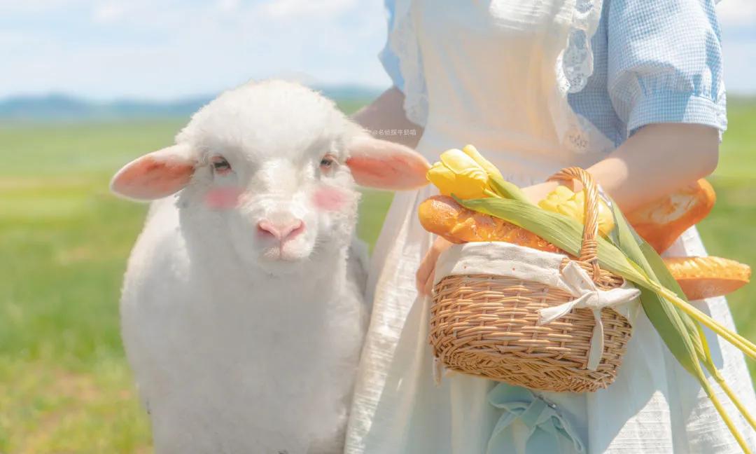 谁又是谁的救赎文案,救赎自己的文案