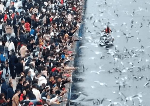 过年云南和四川对比,新年的云南和四川