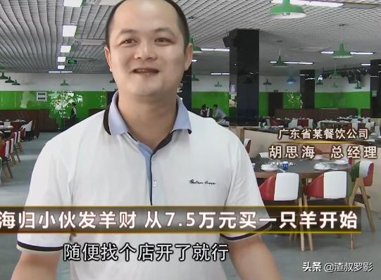 花40万块钱买羊三年之后能挣多少,买了一只羊一年赚了多少钱