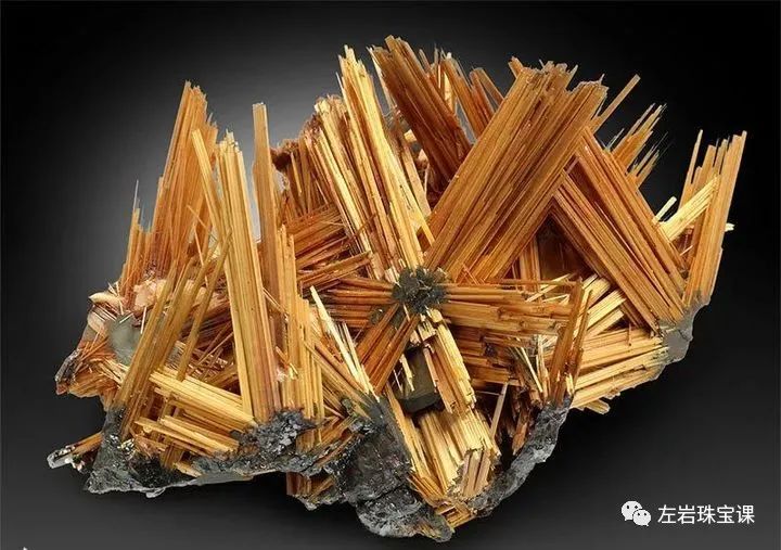 左岩的简介,左岩的最新图片