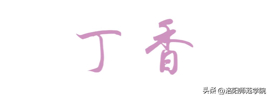 当洛师邂逅43种中国传统色……