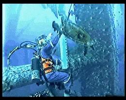 年薪10万每天加班你愿意干吗,月薪20万一天赚多少