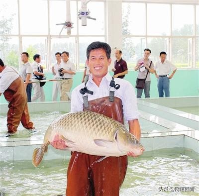 天津开展“原种”保卫战已搜集整理656份种质资源