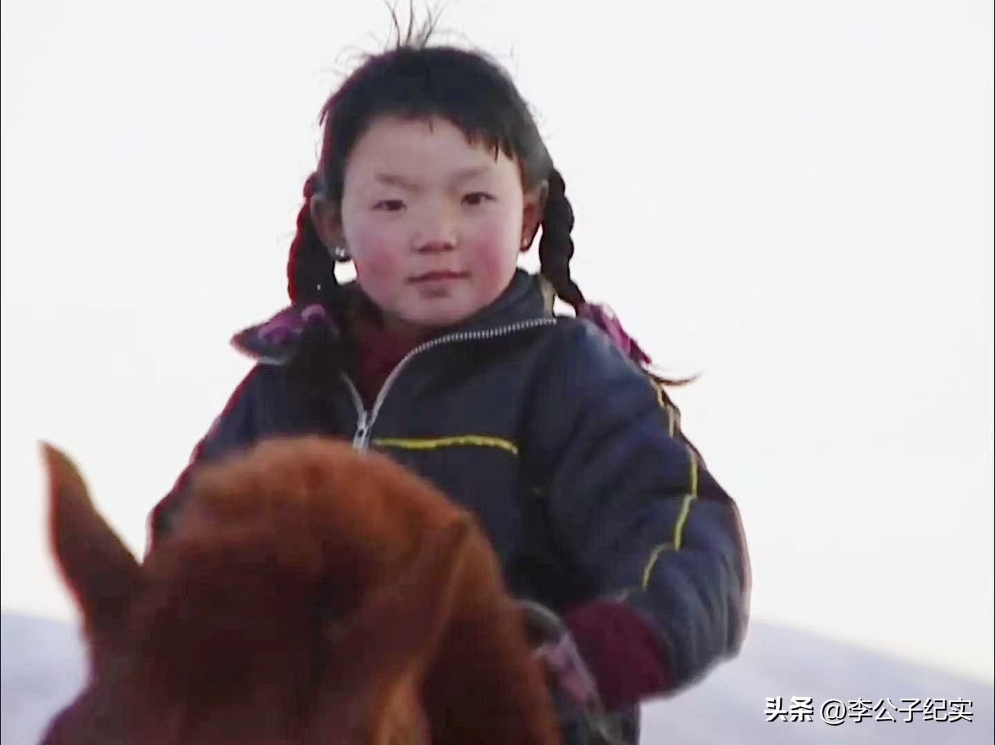 蒙古草原天气晴纪录片图集,蒙古草原天气晴为何突然火了