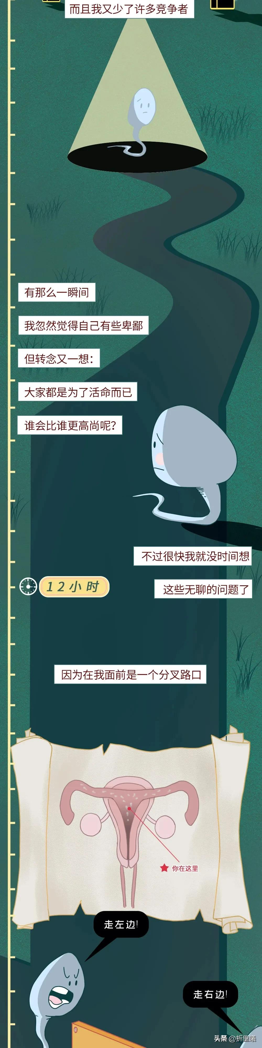 精子进入女生体内的24小时全过程曝光！