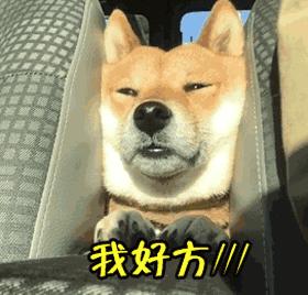 装修前一定要提前买这几样东西,装修房子需要提前购买哪些东西呢