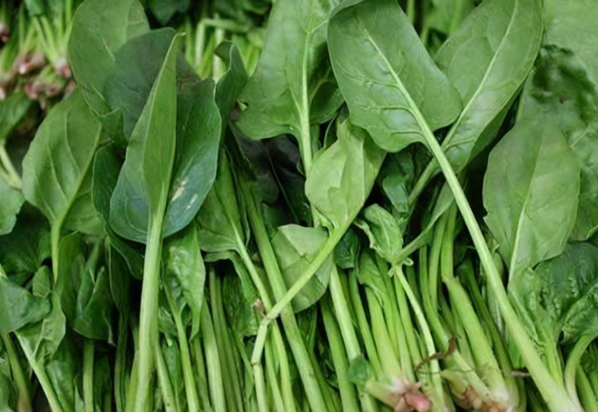 中老年补钙氨糖软骨素,中年妇女补钙还是补氨糖