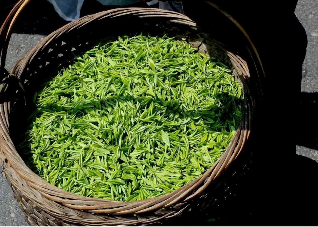网上买茶靠谱吗？为什么那么多人喜欢在网上买茶？看完长知识了