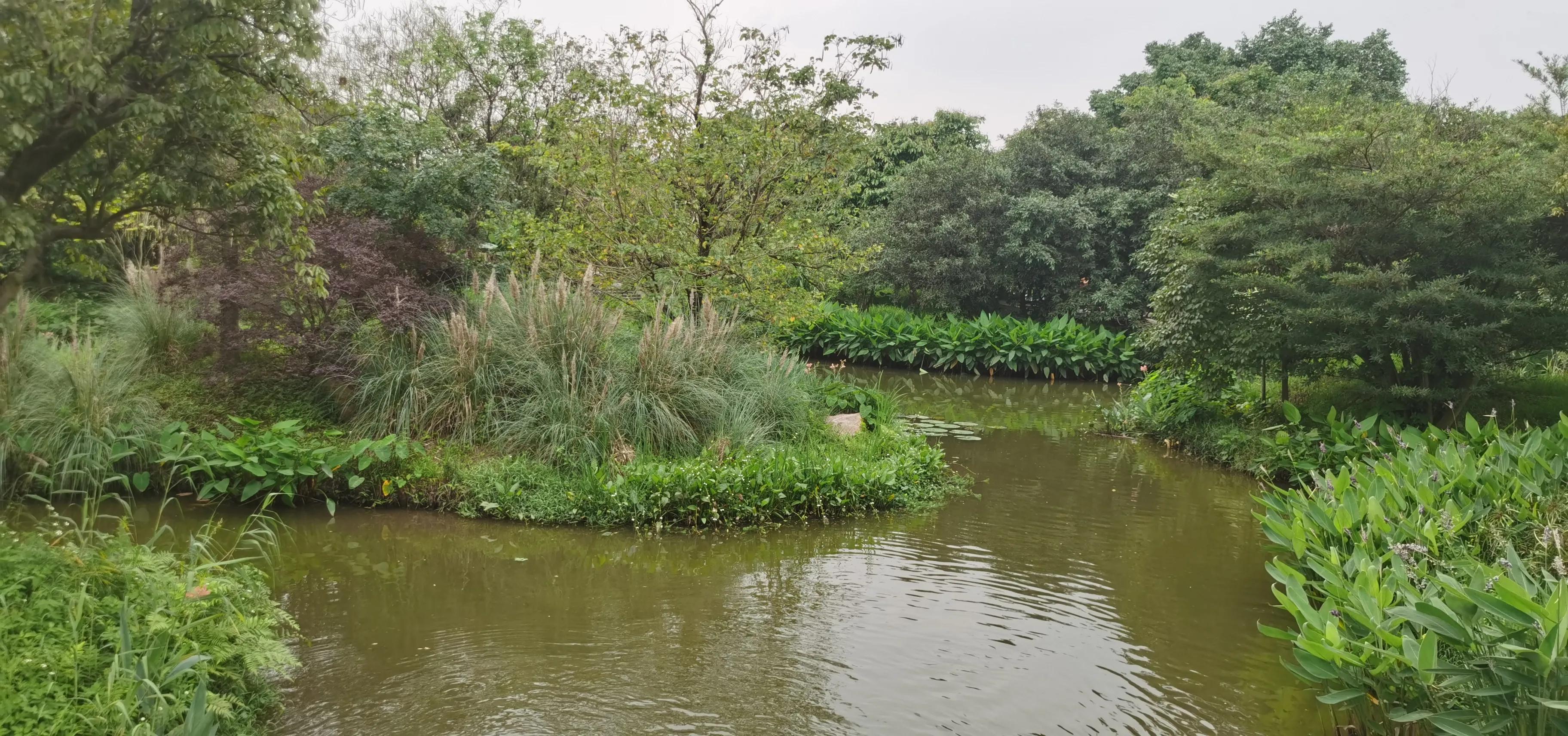 海珠湖湿地公园观鸟,海珠湖湿地公园地图