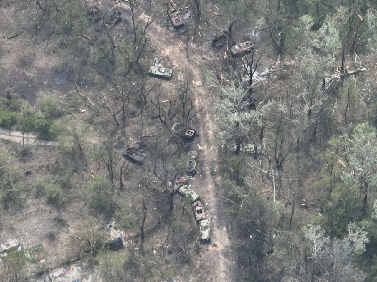 俄乌冲突结束之后普京怎么办,俄乌冲突普京的措施