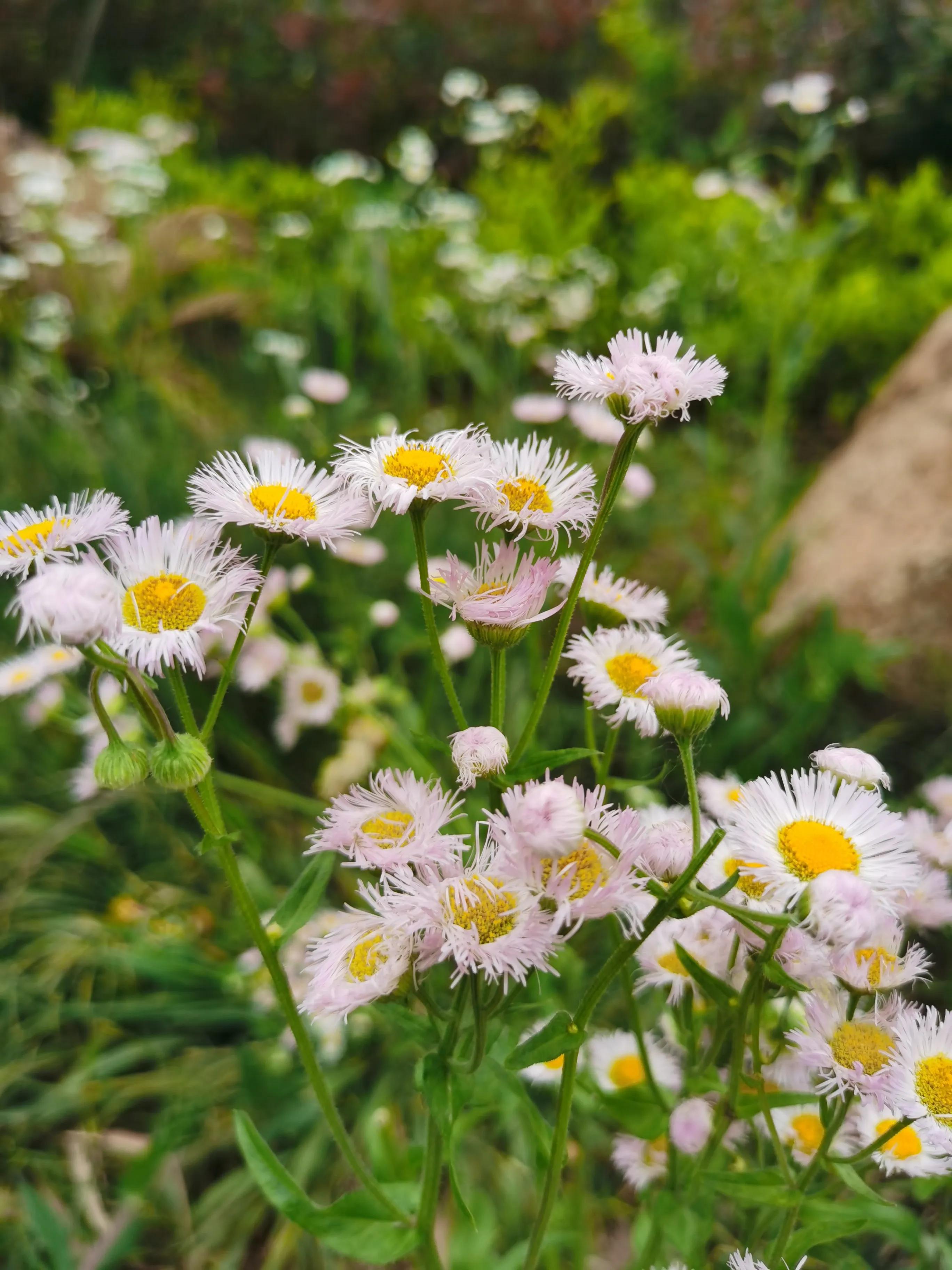 每个借款人都有自己的故事，安徽明纪帮你解决资金债务问题