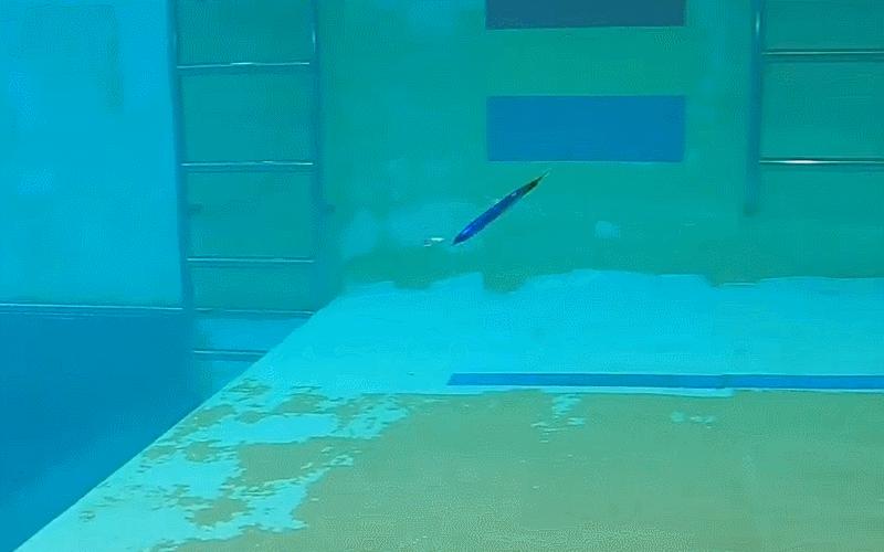 閽撻奔璧勮娓旀粙娓斿懗,娓斿叿琛屼笟鏂伴椈