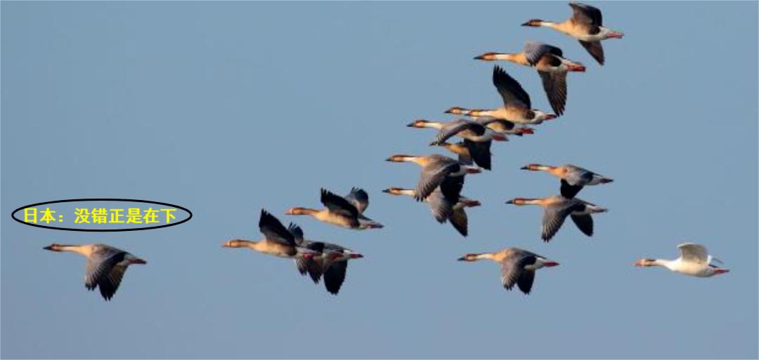 越南制造业今年的真实现状,越南制造能成为世界工厂吗
