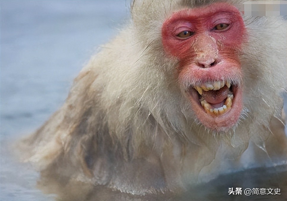 核辐射对人体的伤害的真实案例,核辐射真实案例