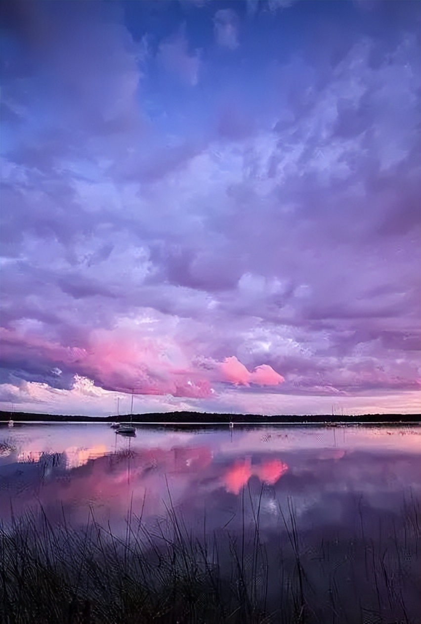 欣赏｜这七种色彩，装点了红尘人间！