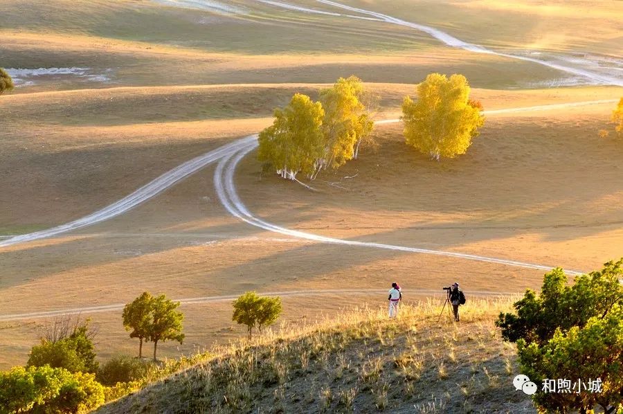 河北坝上草原秋季美景,河北最好的坝上草原
