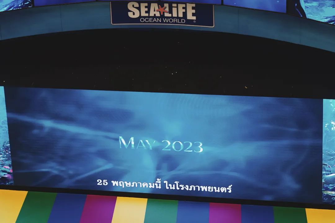 谁懂啊，泰国也太好逛了！