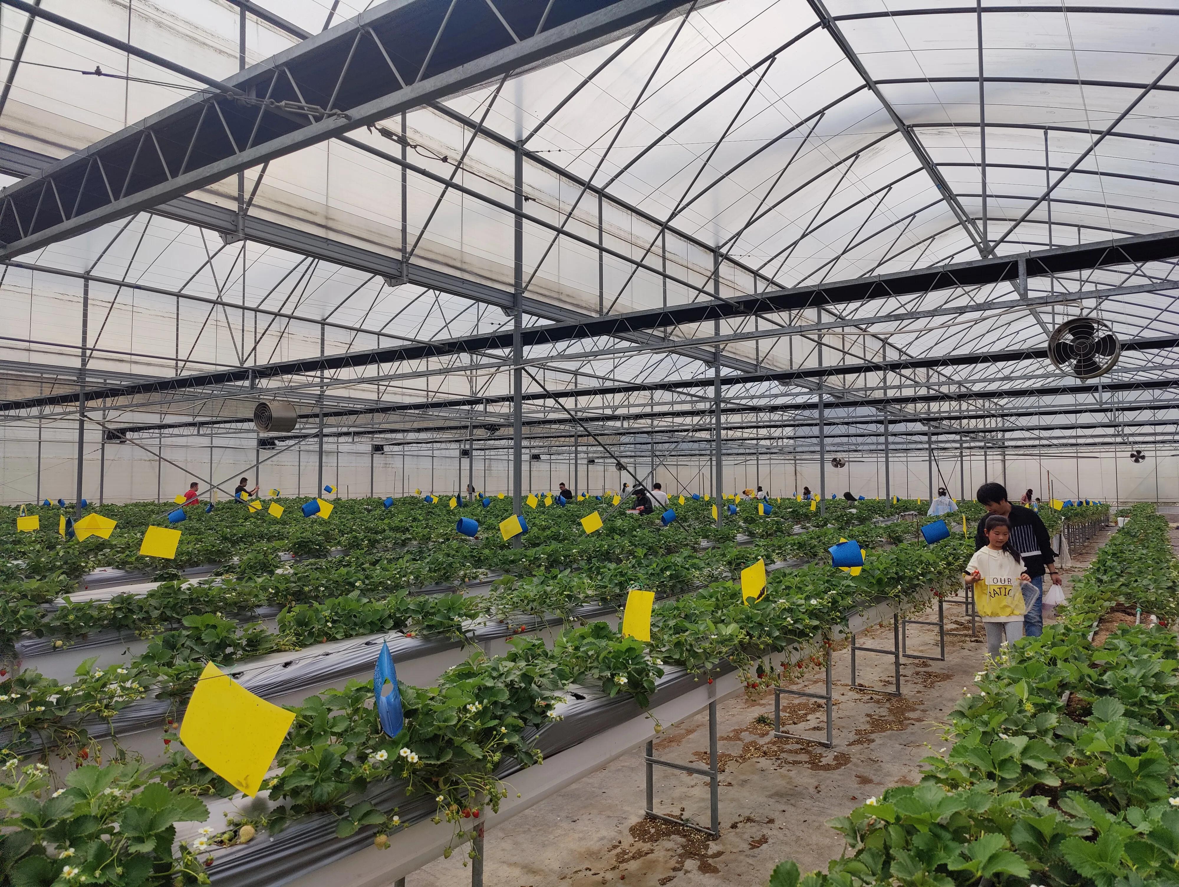 厦门王朝车友会——植树节活动之大帽山生态农场游记