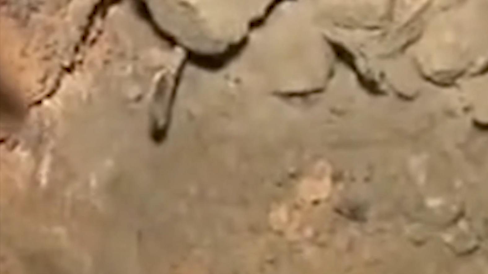 六旬老人晕倒医生急救援,八旬医生抢救老人