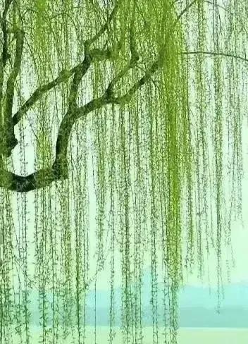 2023年03月03日星期五农历：癸卯年【兔年】二月十二八九第9天