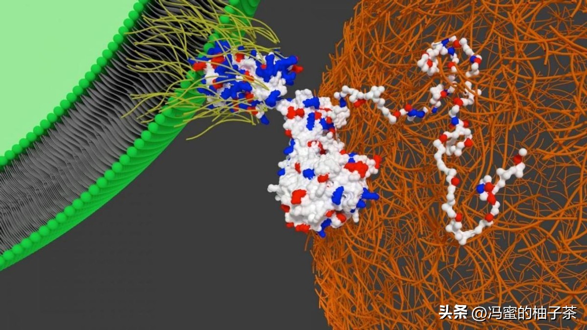 探索人工多酶网络构建代谢的优势:一种新的途径吗？