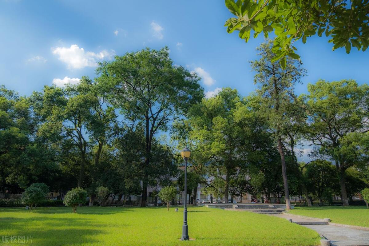 校友会2023桂林理工大学专业排名，4个专业评为A+，6个专业评为A