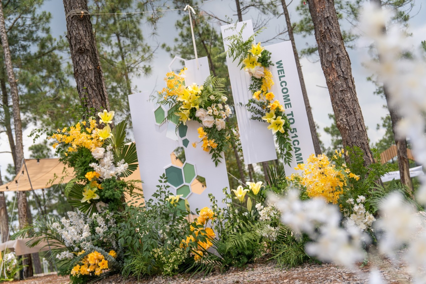 51camp安吉云松营地,帐篷营地森林音乐节