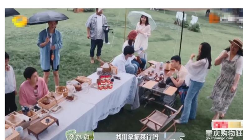 花儿与少年高光时刻,花儿与少年为啥延期拍