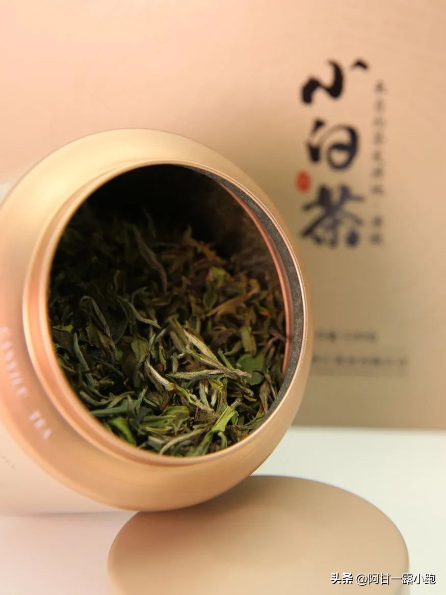 建阳小白茶现状,建瓯北苑贡茶的现状