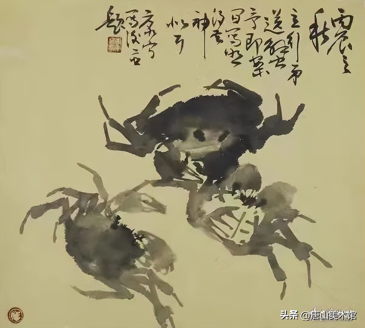 著名花鸟画家康宁,康宁花鸟画家