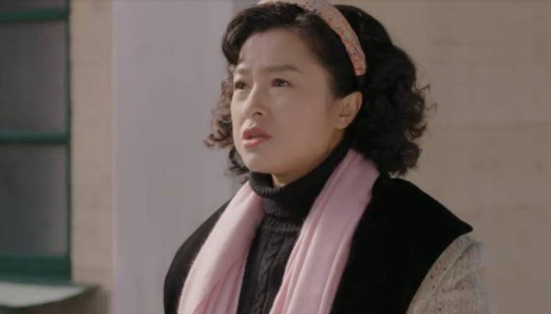 情满四合院娄晓娥是谁的前妻,情满四合院娄晓娥个人简历