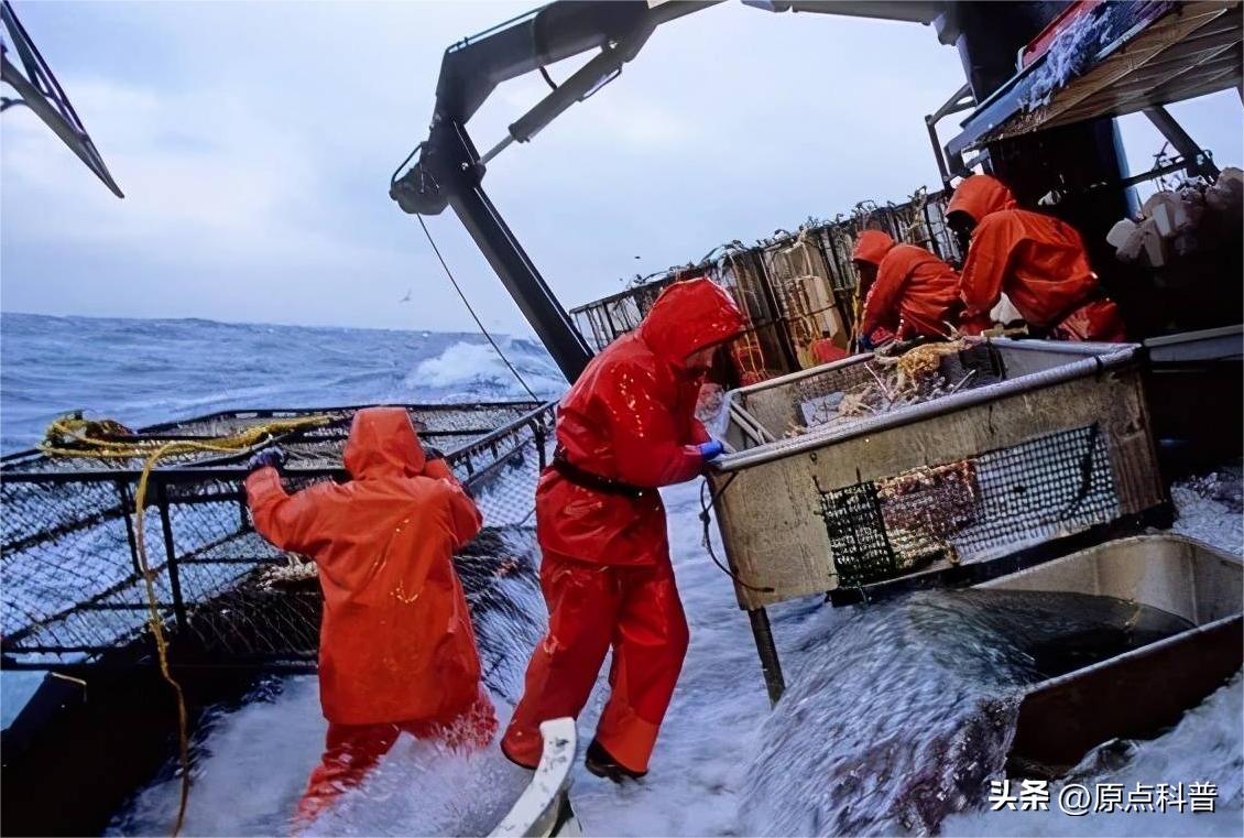 十大不起眼的赚钱行业排行榜最新,小县城利润最高的不起眼行业赚钱