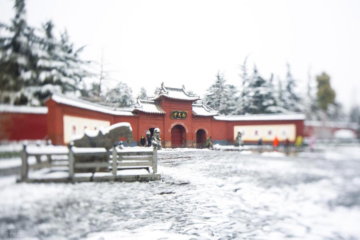 洛阳玩什么景点推荐,洛阳市有哪些好玩的地方不花钱