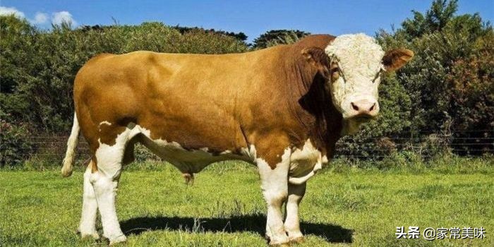 买奶粉全脂更好还是脱脂更好,买奶粉不要贪图正品