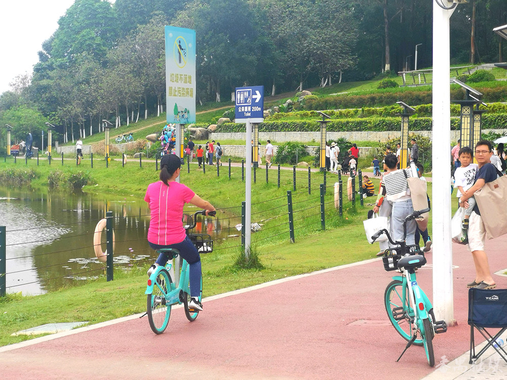 广州大学城中心湖,大学城中心湖露营